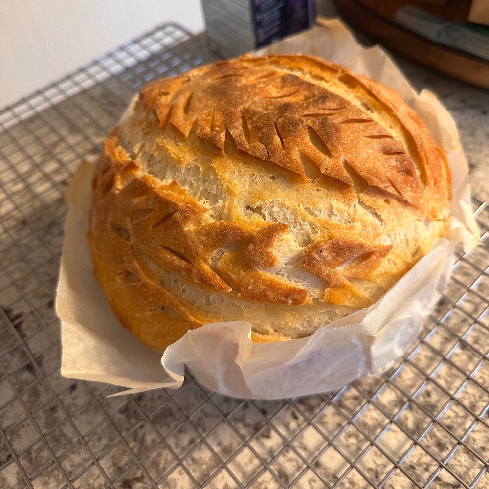 Meet your Posher, Nedra